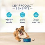 Blue Basics Limited Ingredient Diet Adult Turkey and Potato Recipe Dry Dog Food, photo 8