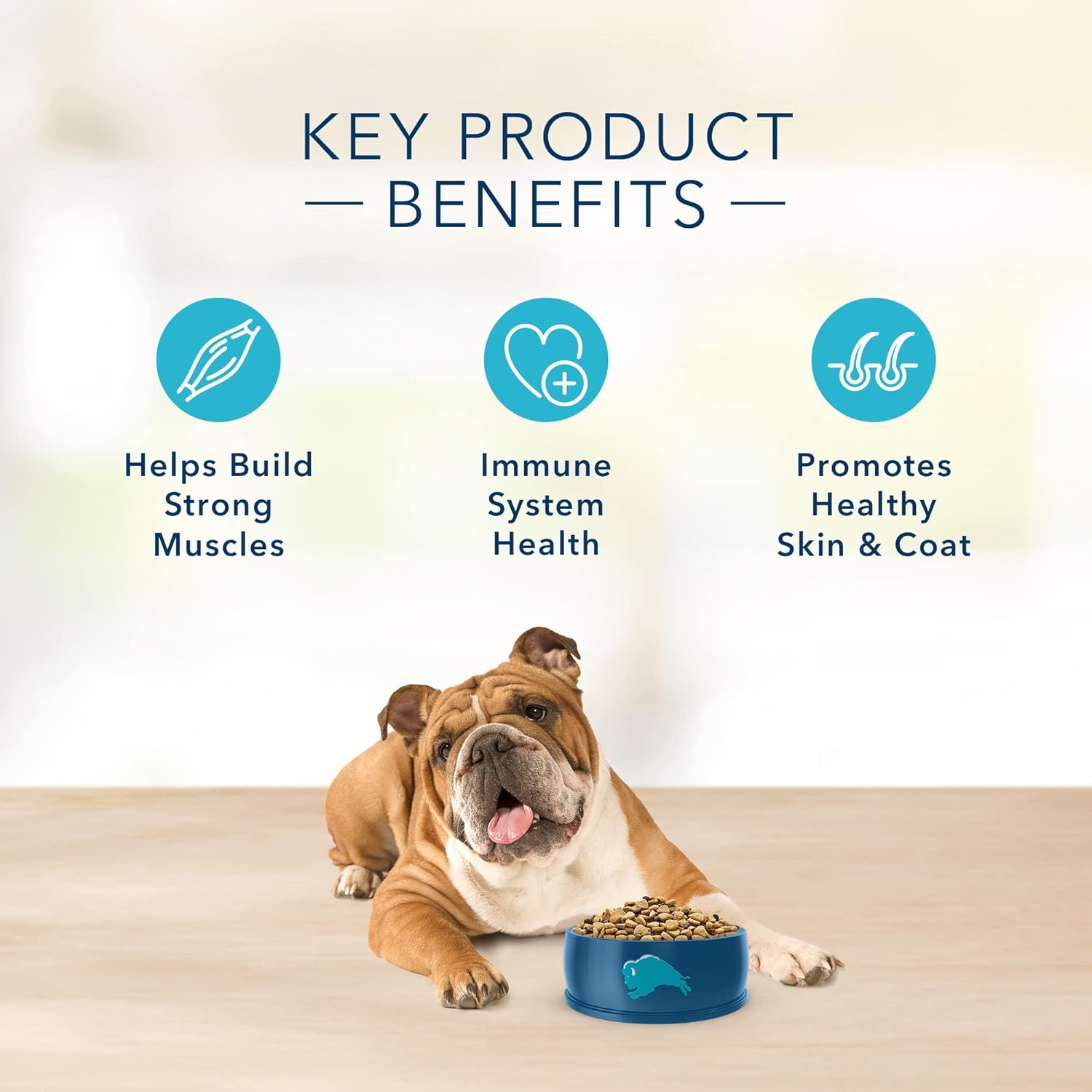 Blue Basics Limited Ingredient Diet Senior Turkey and Potato Recipe Dry Dog Food – Gallery Image 6