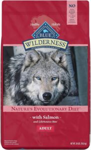 Blue Wilderness Adult Salmon Recipe Dry Dog Food