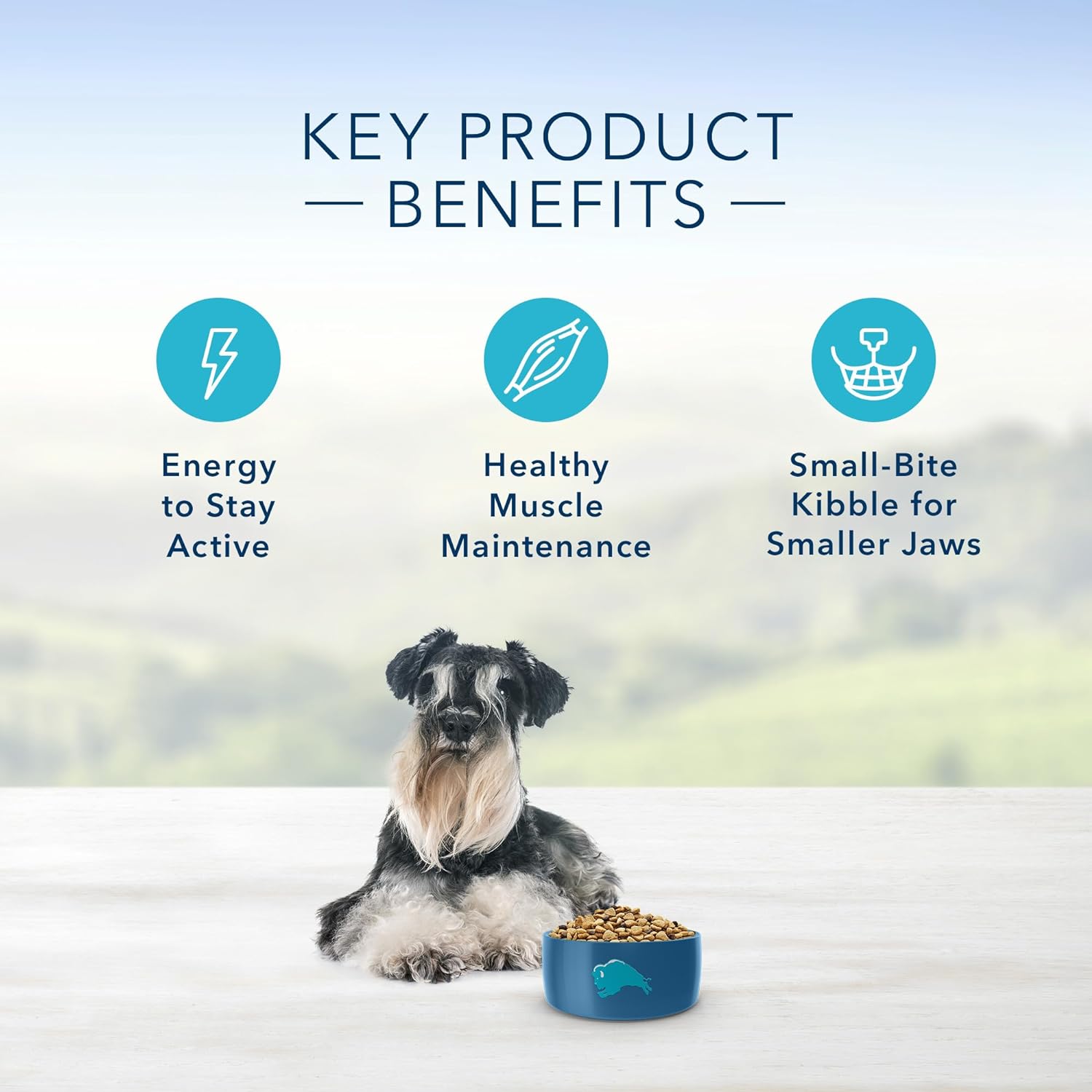 Blue Life Protection Formula Small Breed Senior Chicken and Brown Rice Recipe Dry Dog Food – Gallery Image 5