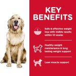 Hill’s Science Diet Adult Perfect Weight Chicken Recipe Dry Dog Food, photo 6