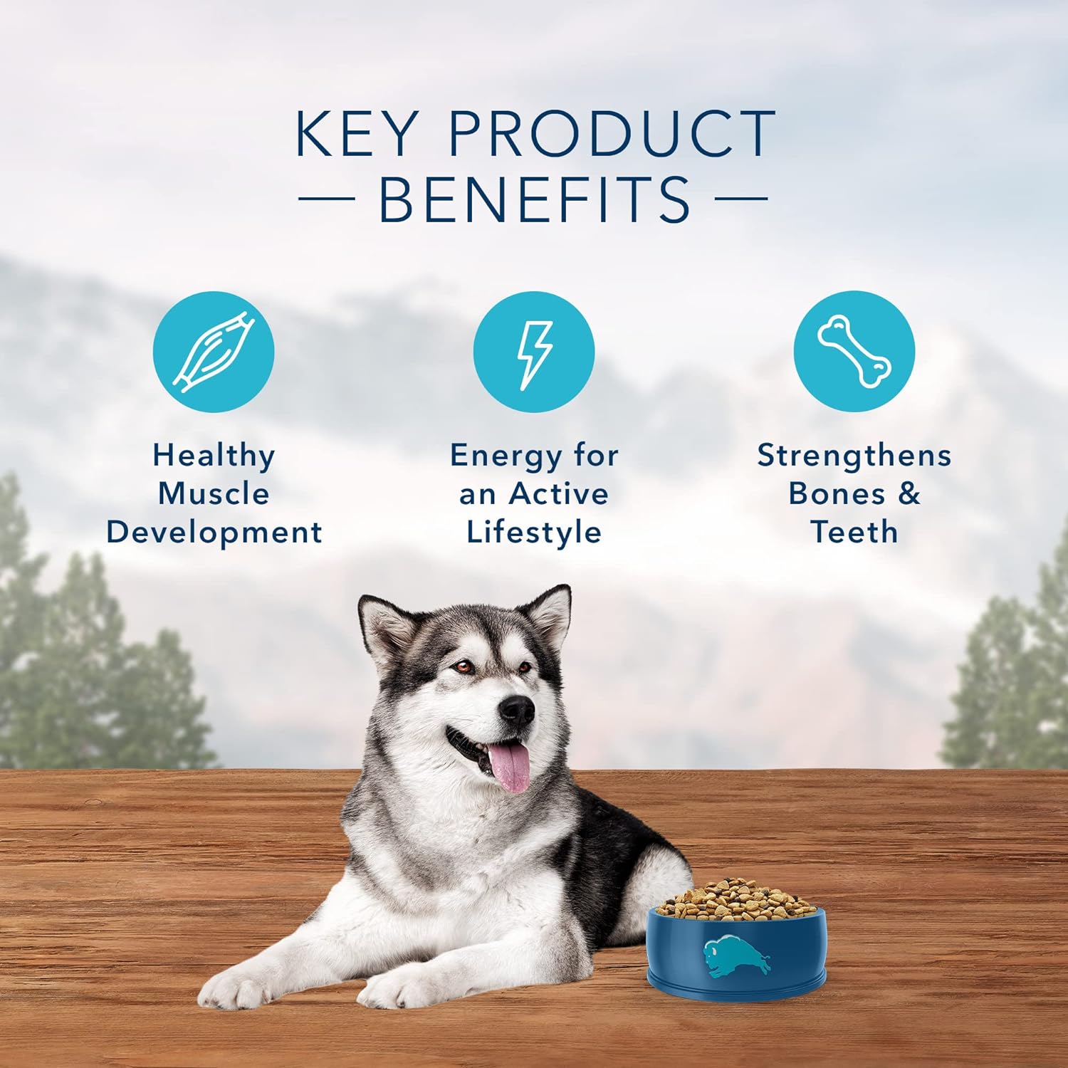 Blue Wilderness Rocky Mountain Recipe Adult Bison Grain-Free Dry Dog Food – Gallery Image 5