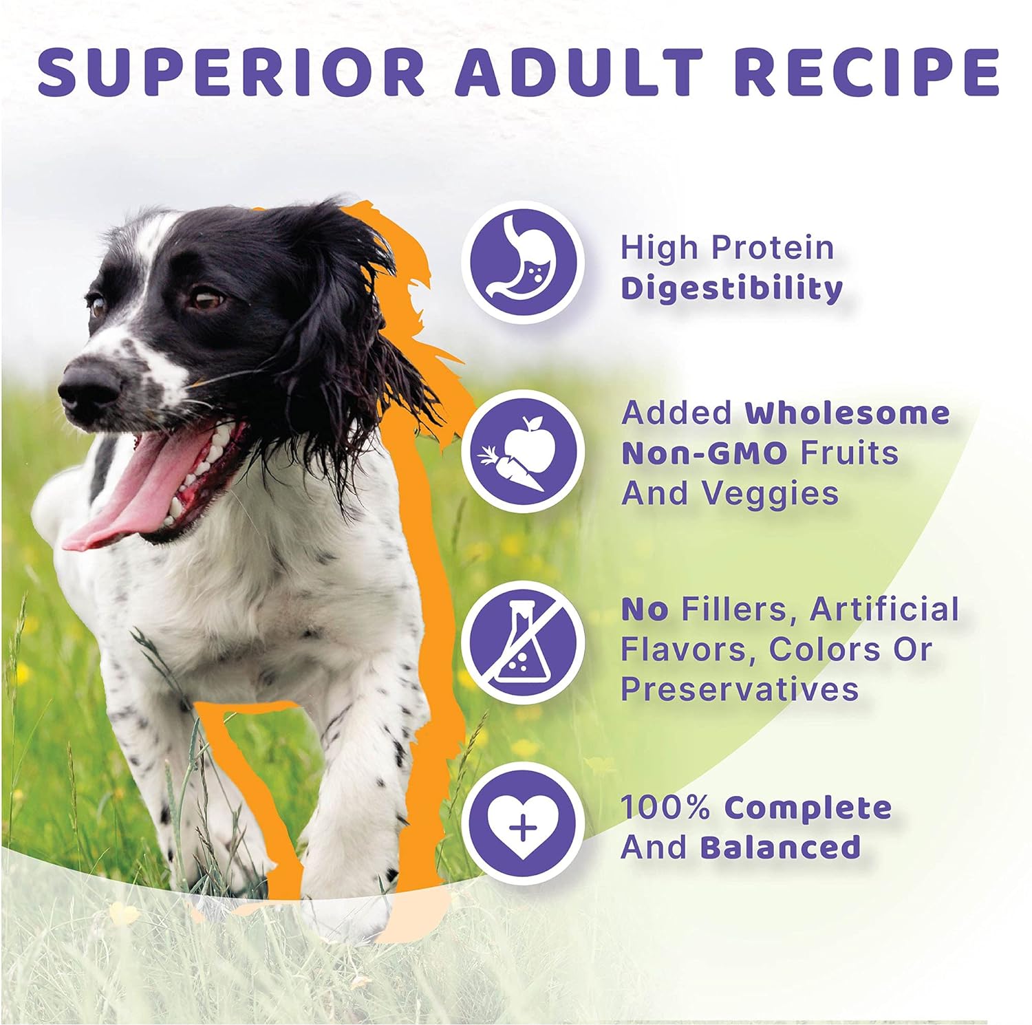 Halo Adult Holistic Chicken & Chicken Liver Recipe Dry Dog Food – Gallery Image 5
