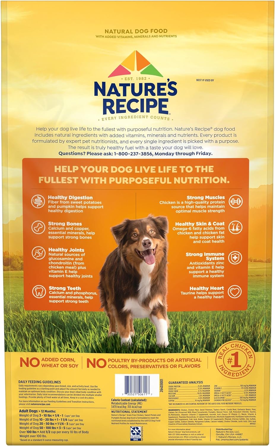 Nature’s Recipe Grain-Free Easy to Digest Chicken, Sweet Potato, & Pumpkin Recipe Dry Dog Food – Gallery Image 5