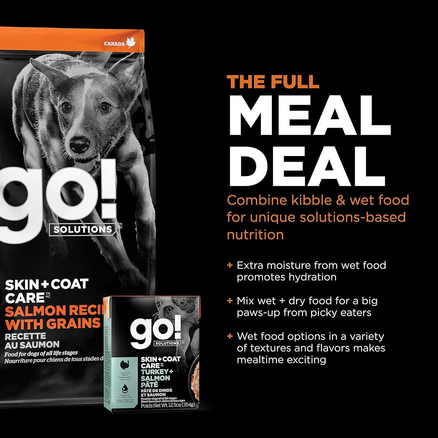 Go! Solutions Skin + Coat Care Salmon Recipe Dry Dog Food – Gallery Image 7