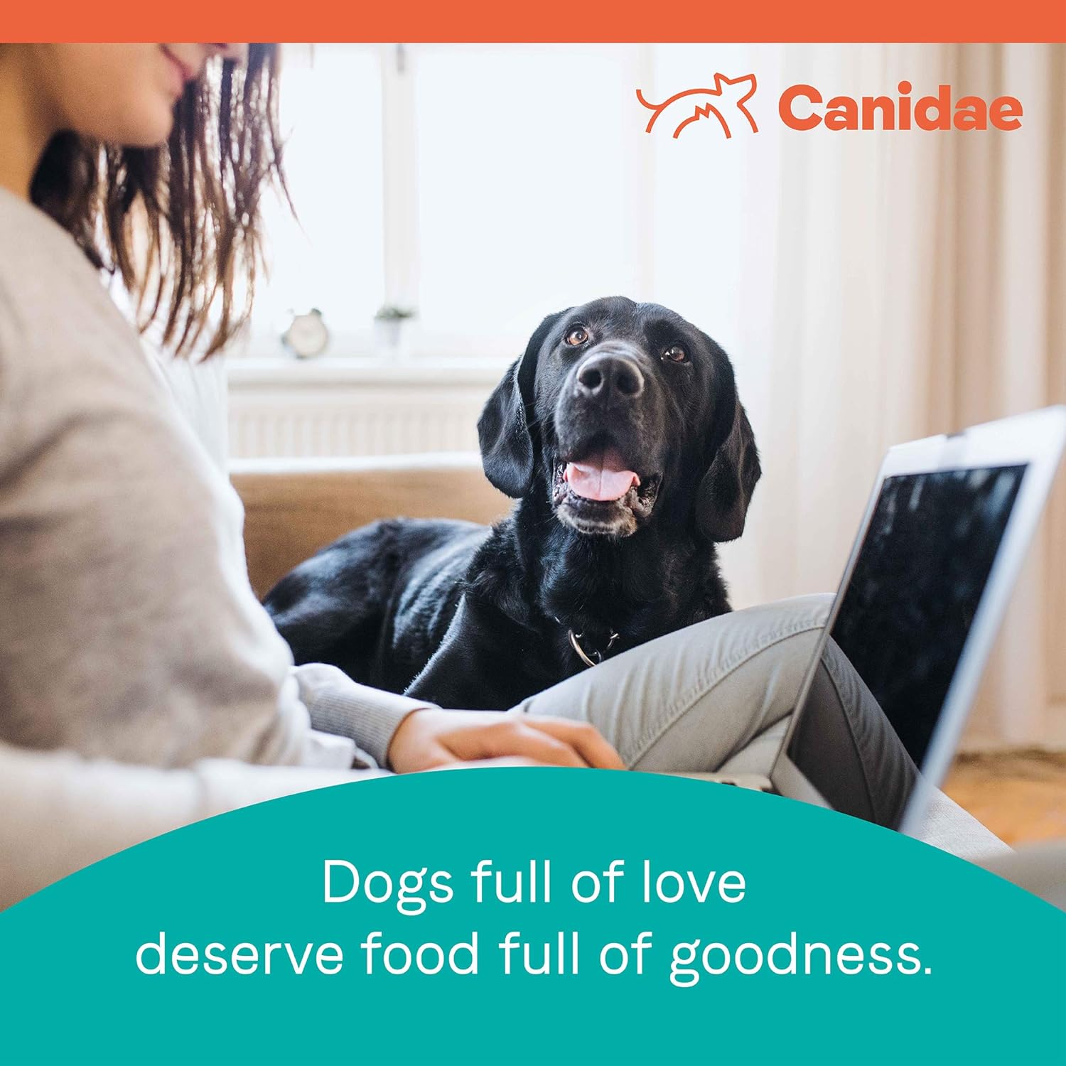 Canidae Pure Grain-Free Real Lamb, Goat & Venison Meals Recipe Dry Dog Food – Gallery Image 6