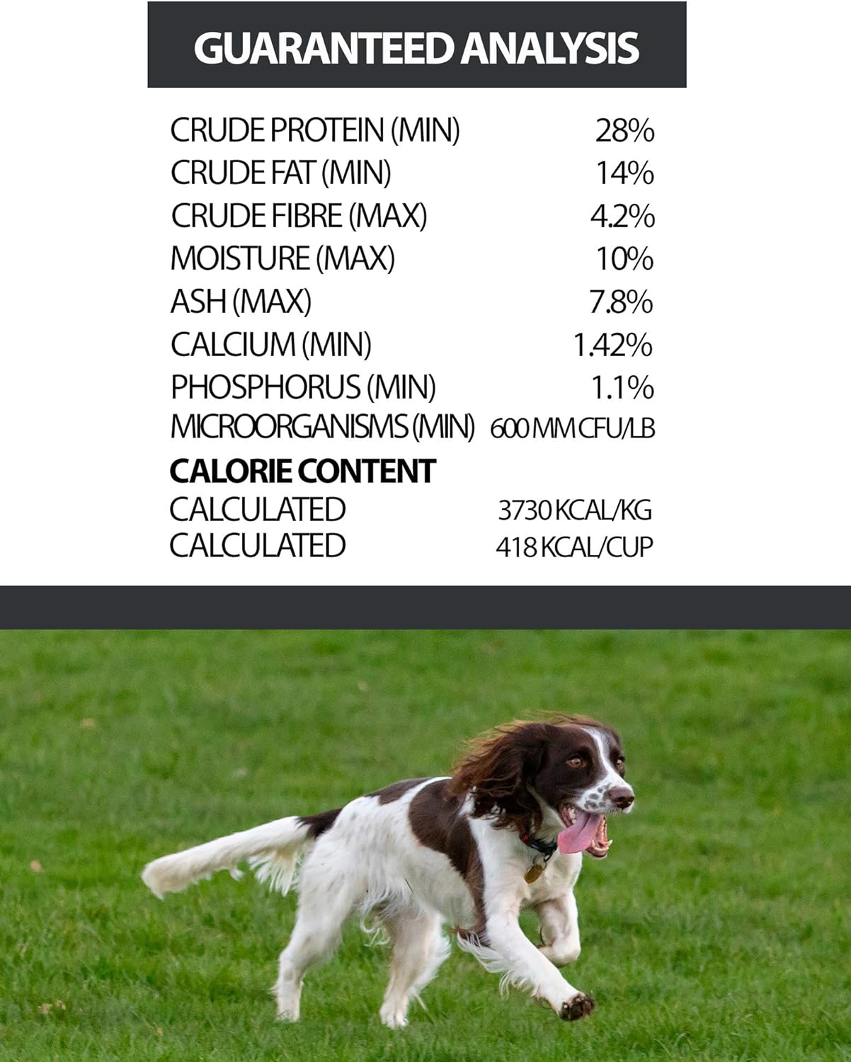 Horizon Pulsar Grain-Free Lamb Formula Dry Dog Food – Gallery Image 4