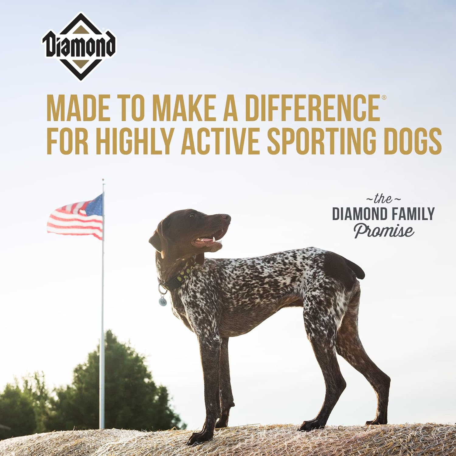Diamond Hi-Energy Dry Dog Food – Gallery Image 4