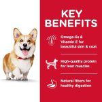 Hill’s Science Diet Adult 1-6 Small Bites Lamb Meal & Brown Rice Recipe Dry Dog Food, photo 5