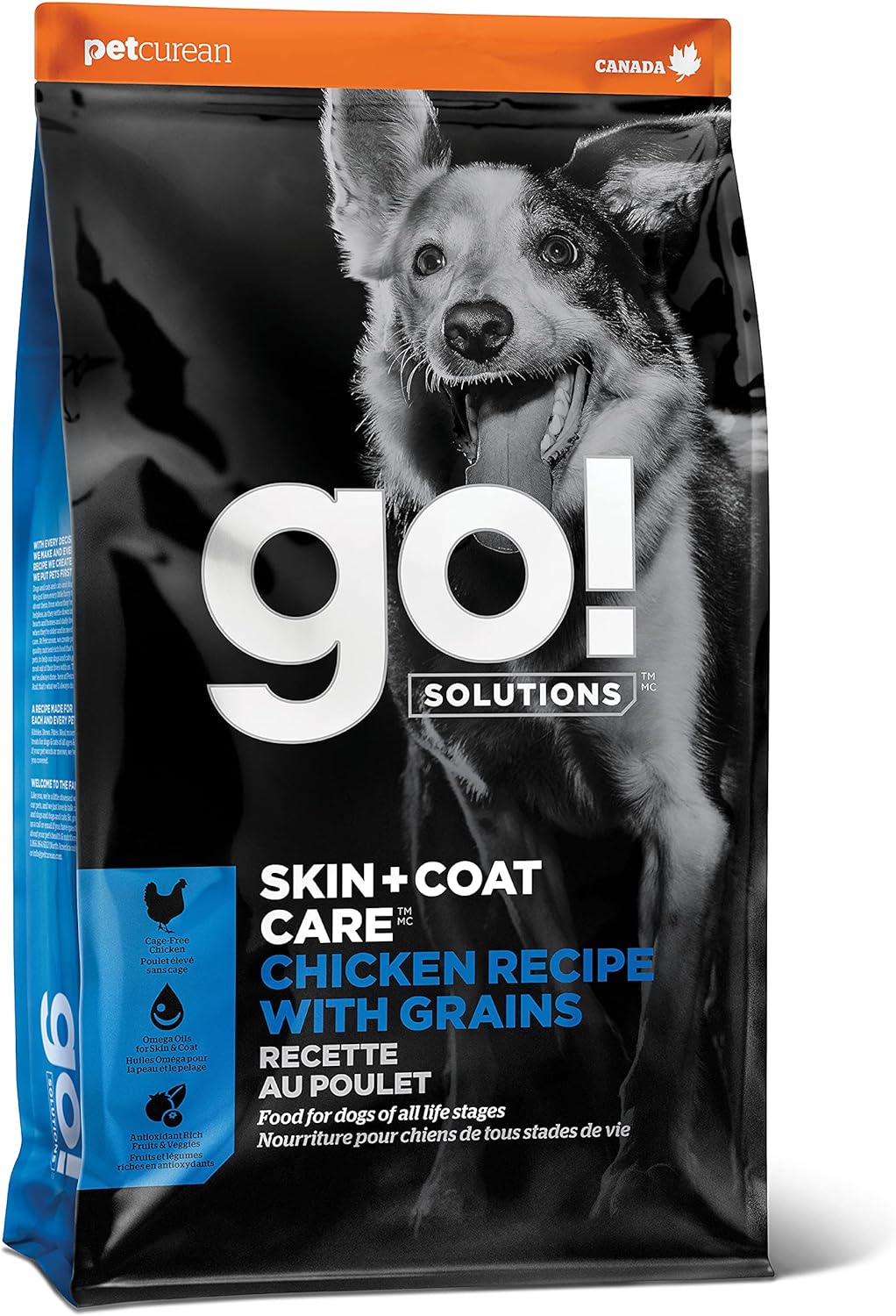 Go! Solutions Skin + Coat Care Chicken Recipe Dry Dog Food – Gallery Image 1