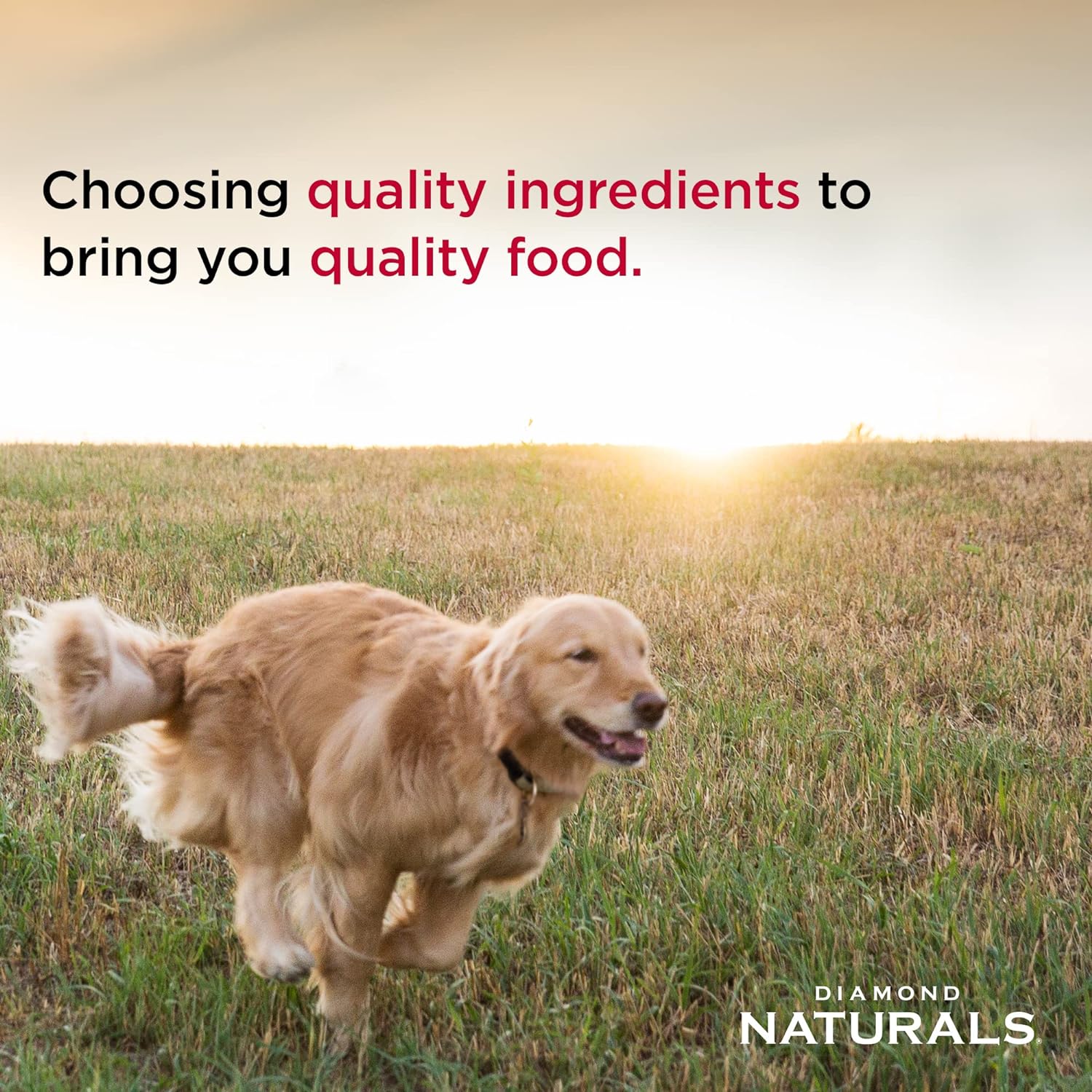 Diamond Naturals Extreme Athlete Adult Dog Chicken & Rice Formula Dry Dog Food – Gallery Image 5