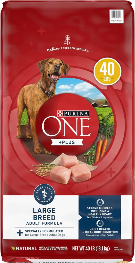 Purina One SmartBlend Large Breed Adult Formula Premium Dry Dog Food