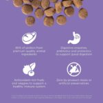 Go! Solutions Carnivore Grain-Free Chicken, Turkey + Duck Senior Recipe Dry Dog Food, photo 13