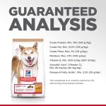 Hill’s Science Diet Adult 1-6 Chicken & Brown Rice Recipe No Corn, Wheat, Soy Dry Dog Food, photo 8