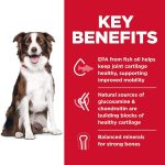 Hill’s Science Diet Adult Healthy Mobility Large Breed Chicken Meal, Brown Rice & Barley Dry Dog Food, photo 5