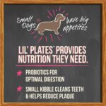 Merrick Lil’ Plates Grain-Free Senior Real Chicken + Sweet Potato Recipe Dry Dog Food, photo 9