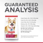 Hill’s Science Diet Adult 1-6 Small Bites Lamb Meal & Brown Rice Recipe Dry Dog Food, photo 8
