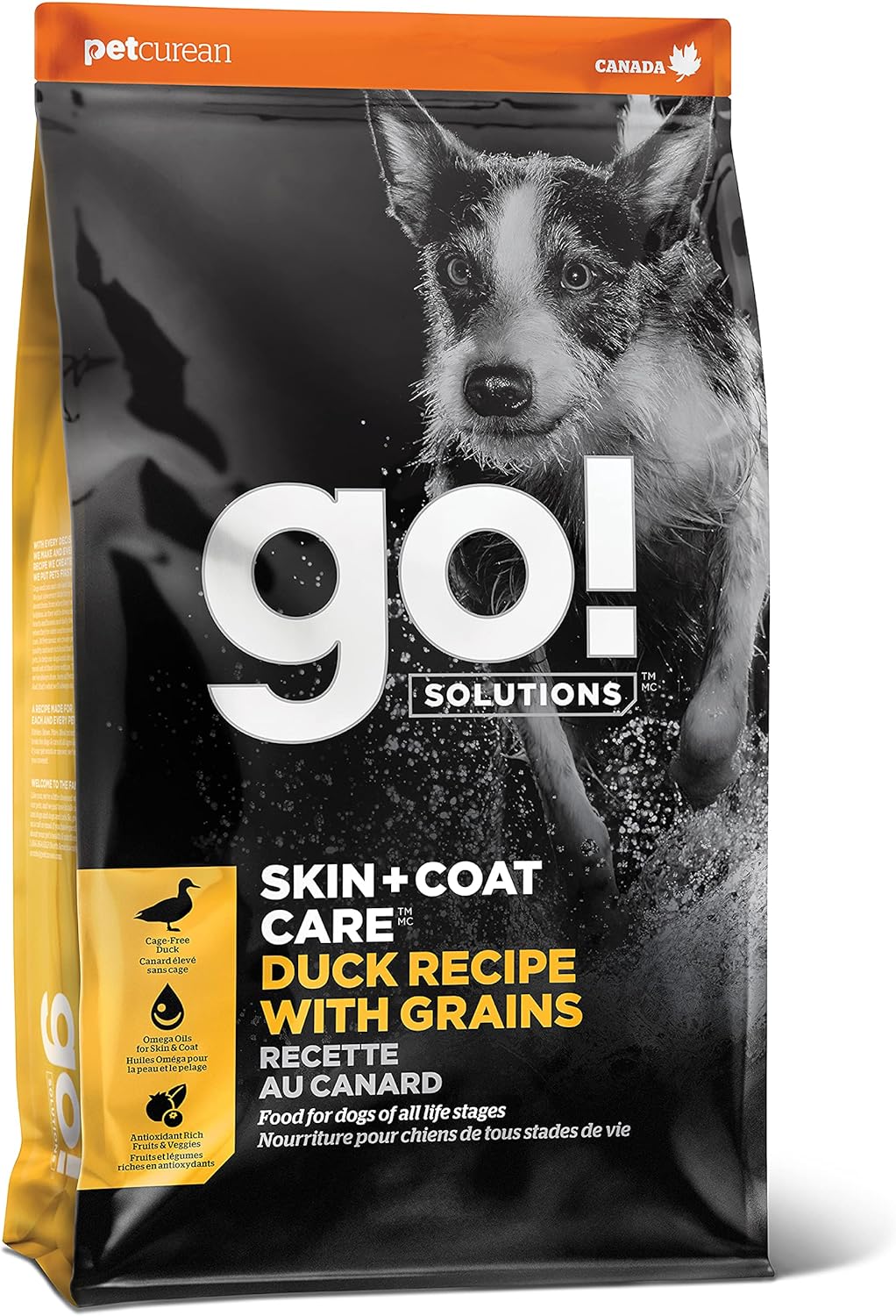 Go! Solutions Skin + Coat Care Duck Recipe with Grains Dry Dog Food – Gallery Image 1