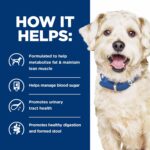 Hill’s Prescription Diet w/d Multi-Benefit Chicken Flavor Dry Dog Food, photo 8
