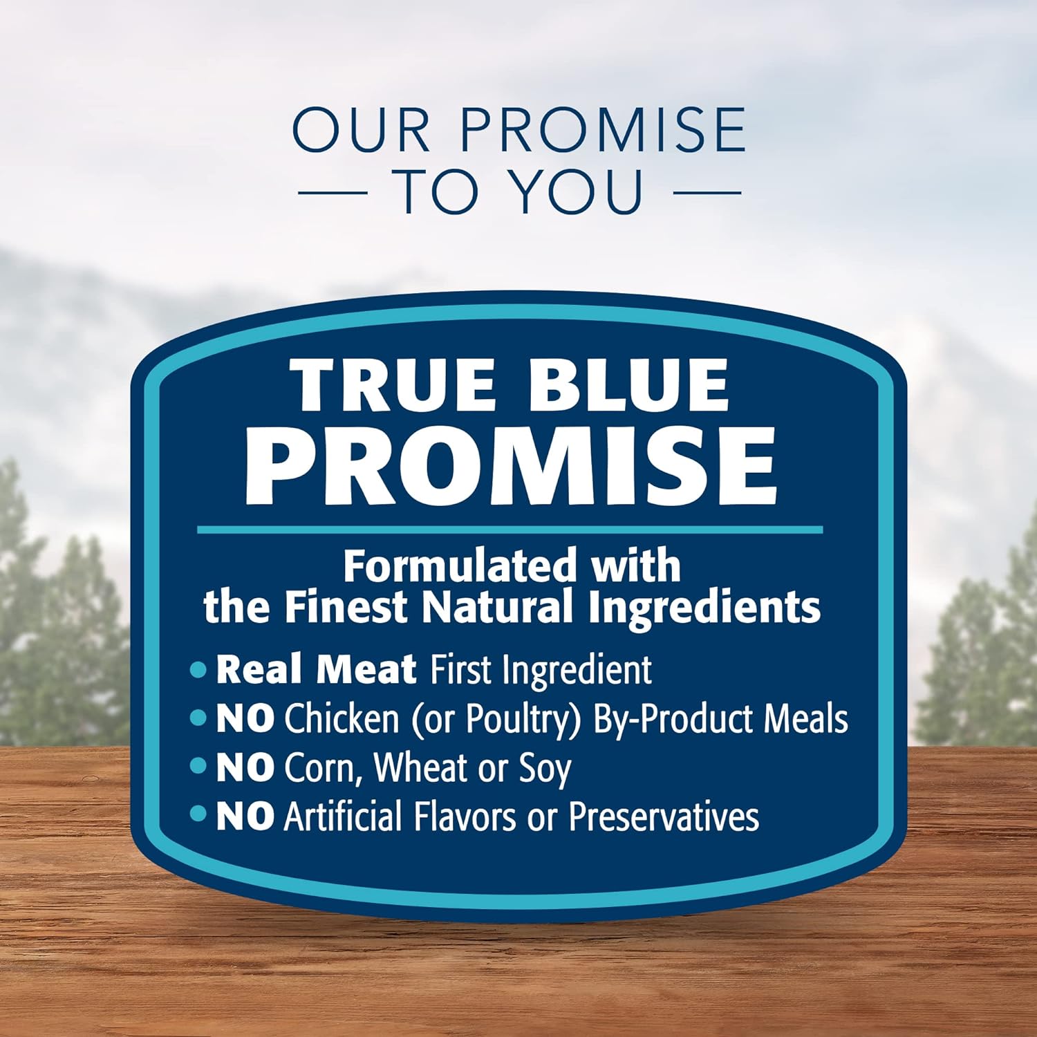 Blue Wilderness Rocky Mountain Recipe Large Breed Adult Bison Grain-Free Dry Dog Food – Gallery Image 7