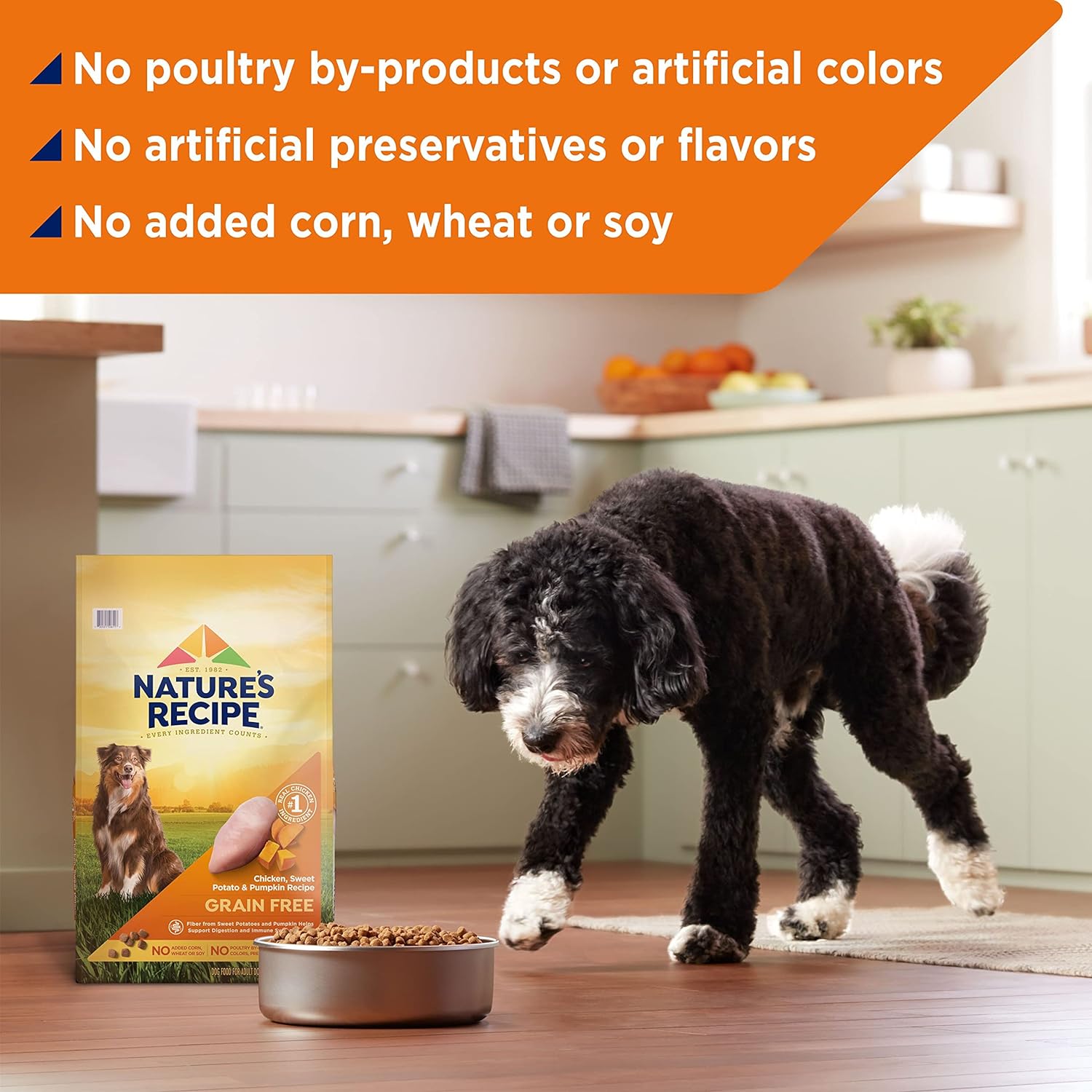 Nature’s Recipe Grain-Free Easy to Digest Chicken, Sweet Potato, & Pumpkin Recipe Dry Dog Food – Gallery Image 7