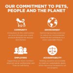 Go! Solutions Skin + Coat Care Salmon Recipe Dry Dog Food, photo 15