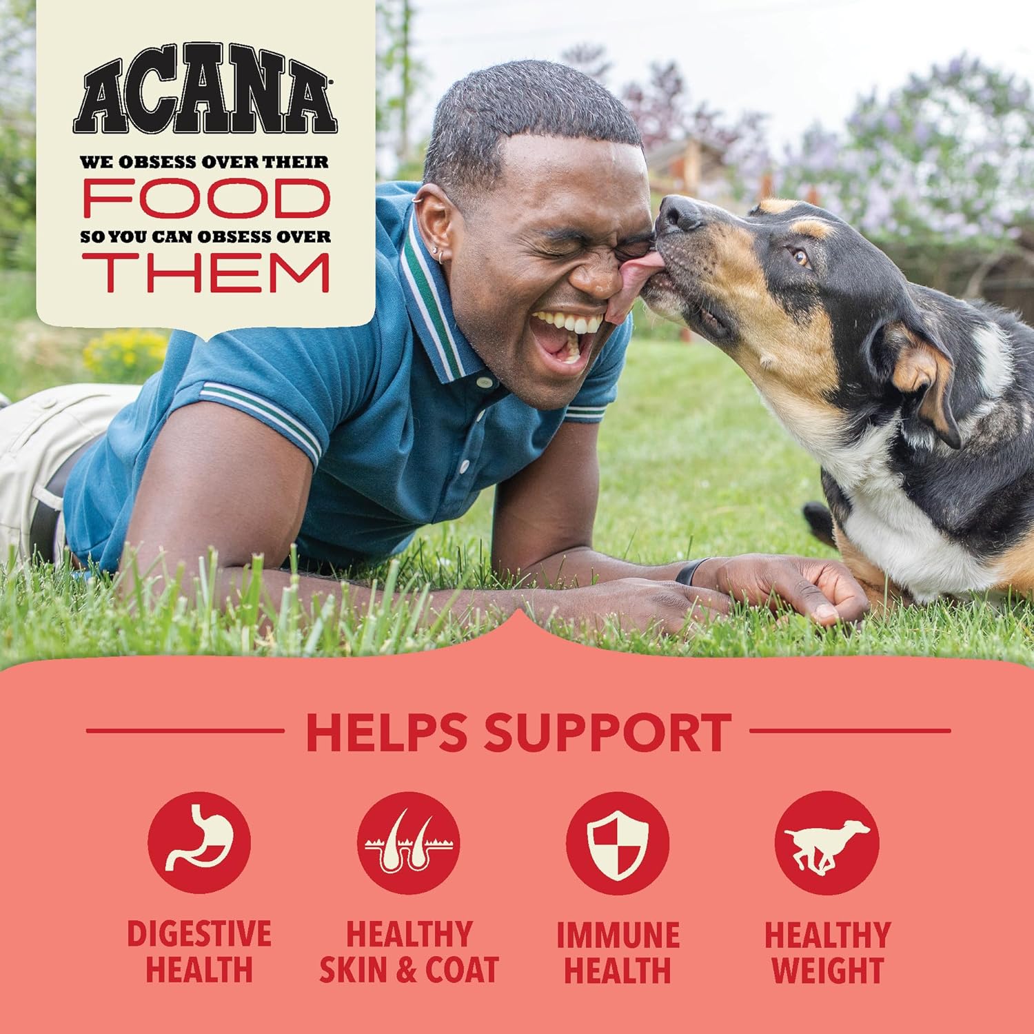 Acana Red Meat Recipe with Wholesome Grains Dry Dog Food – Gallery Image 4
