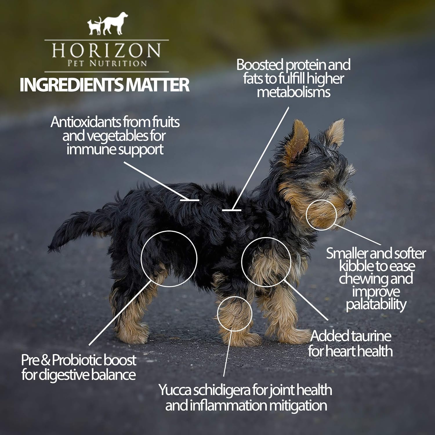 Horizon Amicus Grain-Free Adult Tri-Protein Formula Dry Dog Food – Gallery Image 5