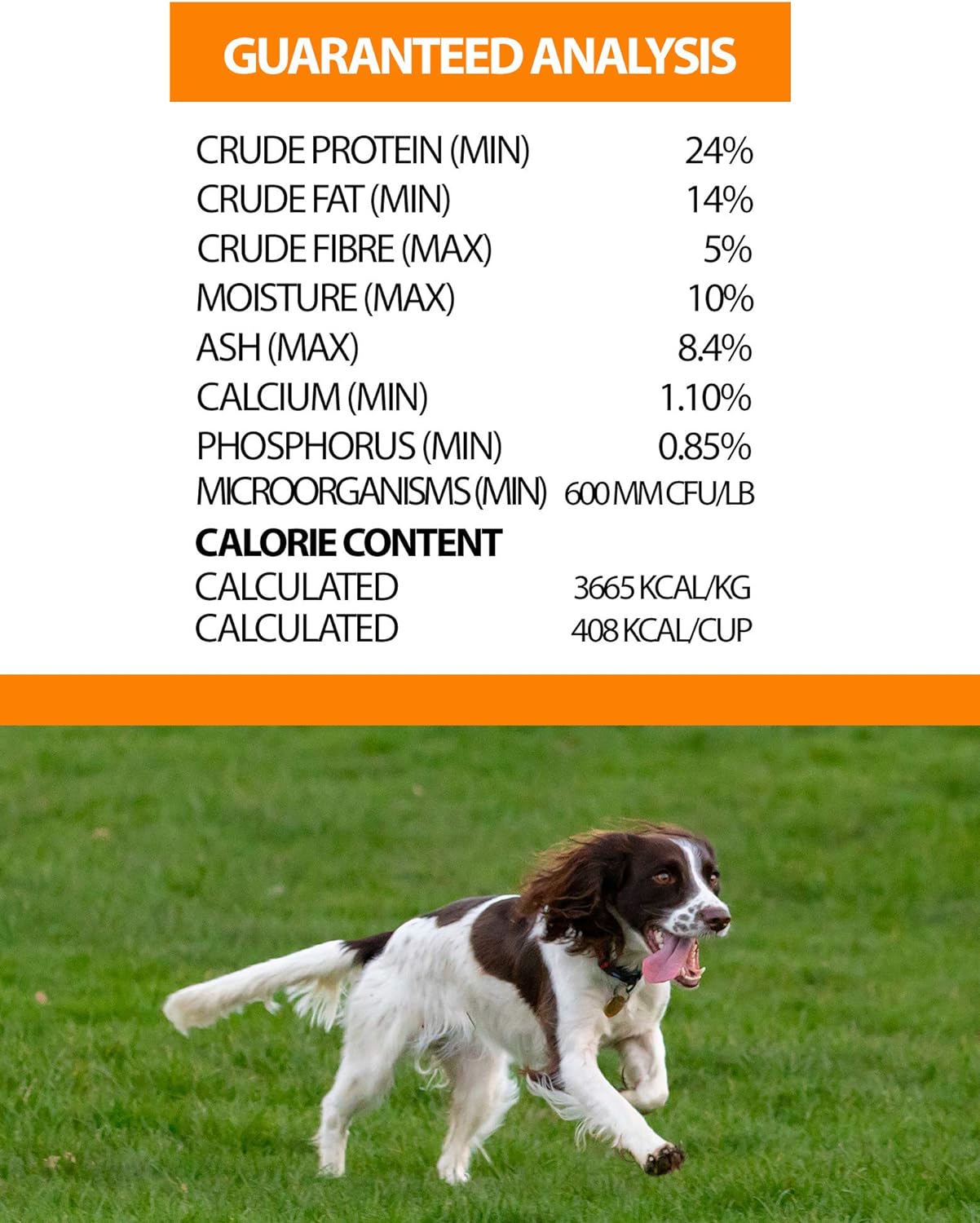 Horizon Pulsar Whole Grain Chicken Formula Dry Dog Food – Gallery Image 4