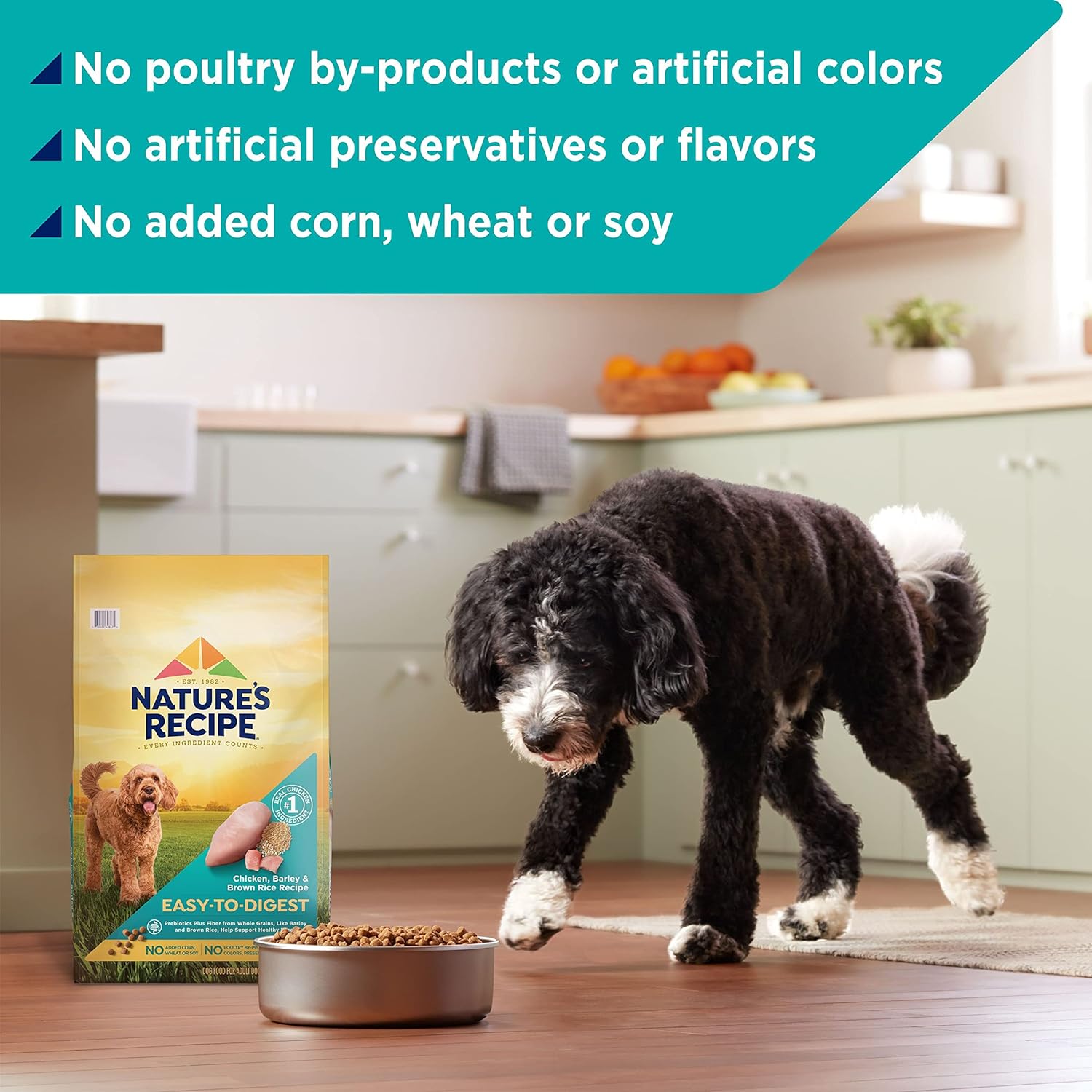Nature’s Recipe Easy to Digest Chicken Meal, Rice, & Barley Recipe Dry Dog Food – Gallery Image 6