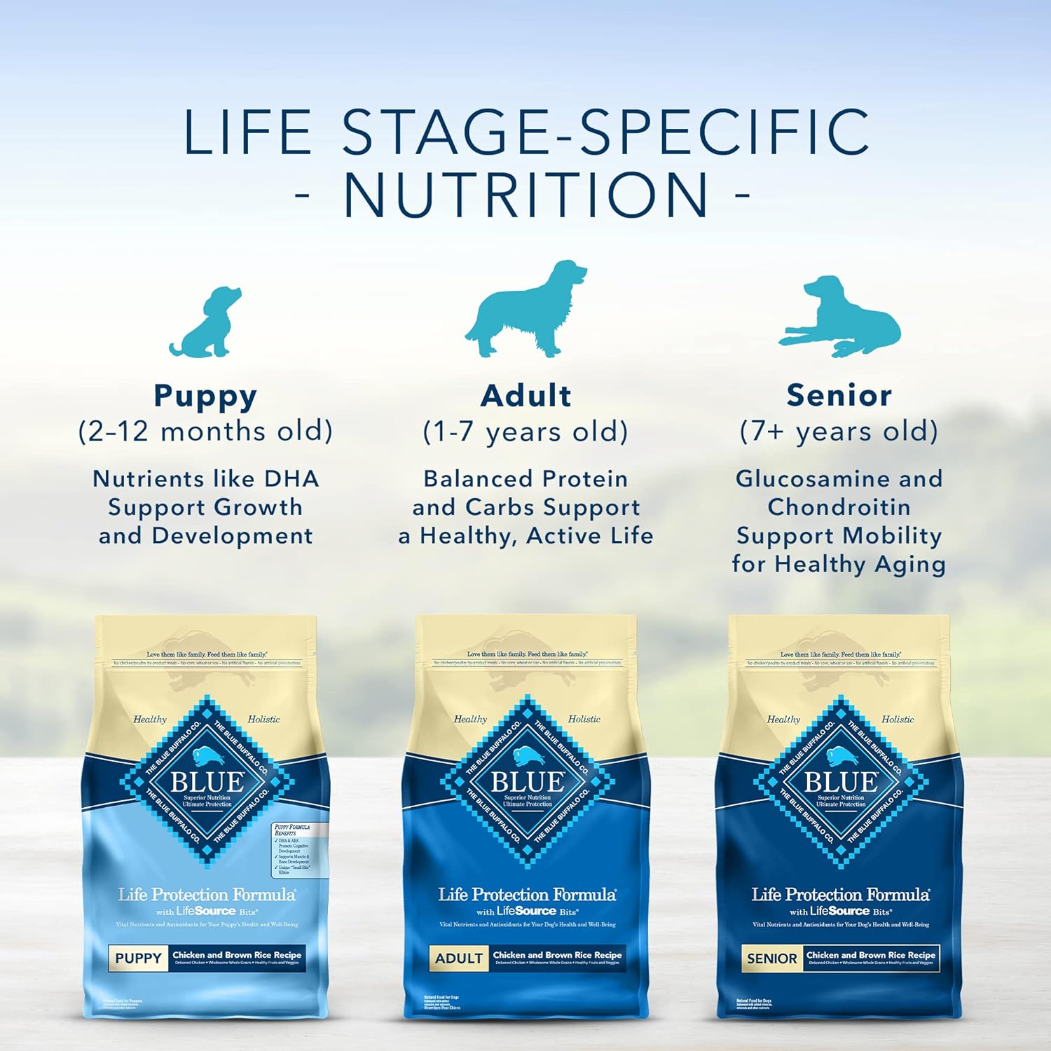 Blue Life Protection Formula Senior Chicken and Brown Rice Recipe Dry Dog Food – Gallery Image 8