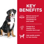 Hill’s Science Diet Adult Large Breed Lamb Meal & Brown Rice Recipe Dry Dog Food, photo 5