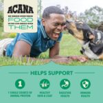 Acana Wholesome Grains Limited Ingredient Diet Lamb & Pumpkin Recipe Dry Dog Food, photo 5