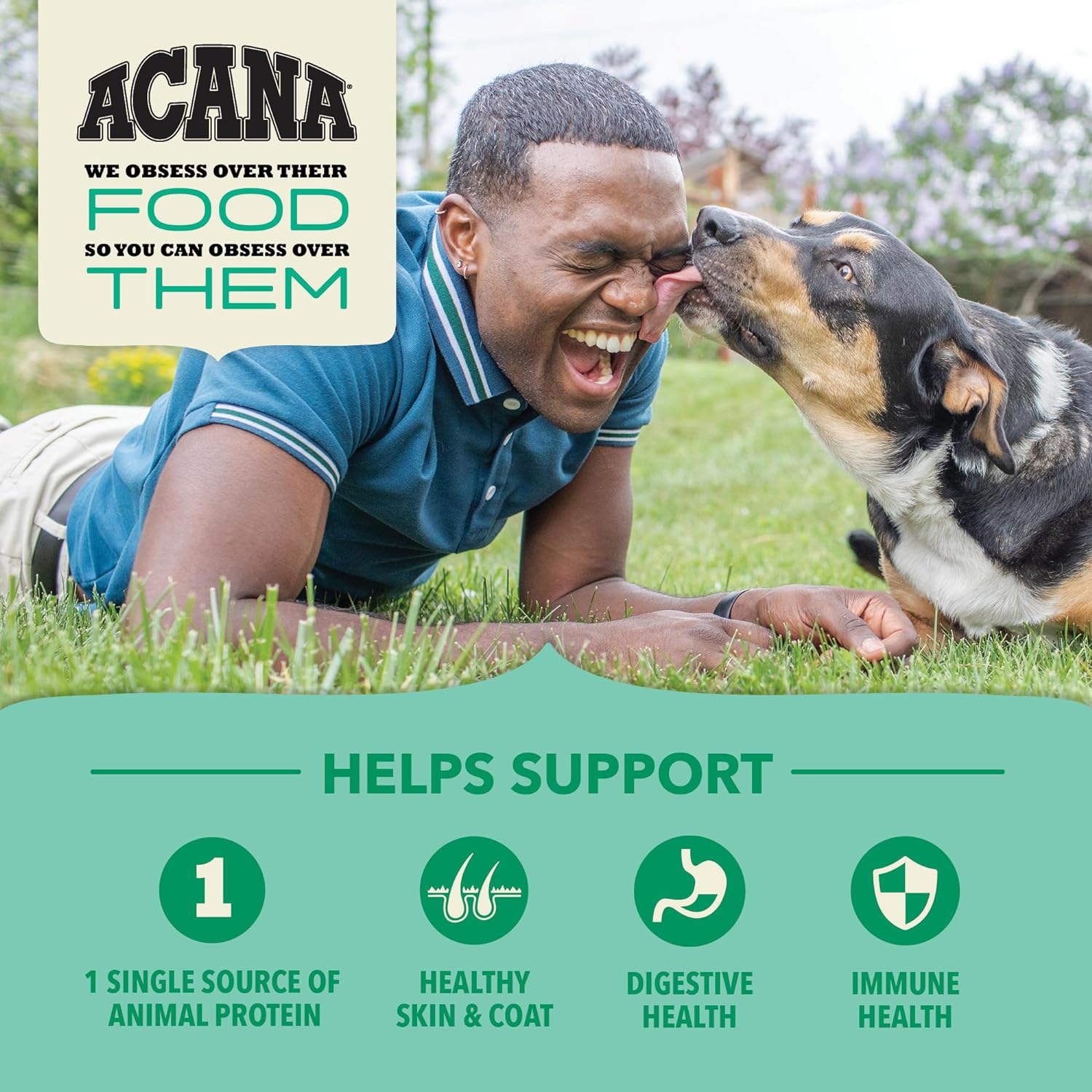 Acana Lamb & Pumpkin Recipe with Wholesome Grains Dry Dog Food – Gallery Image 4