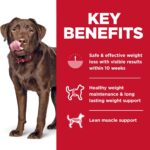 Hill’s Science Diet Adult Perfect Weight Large Breed Chicken Recipe Dry Dog Food, photo 6