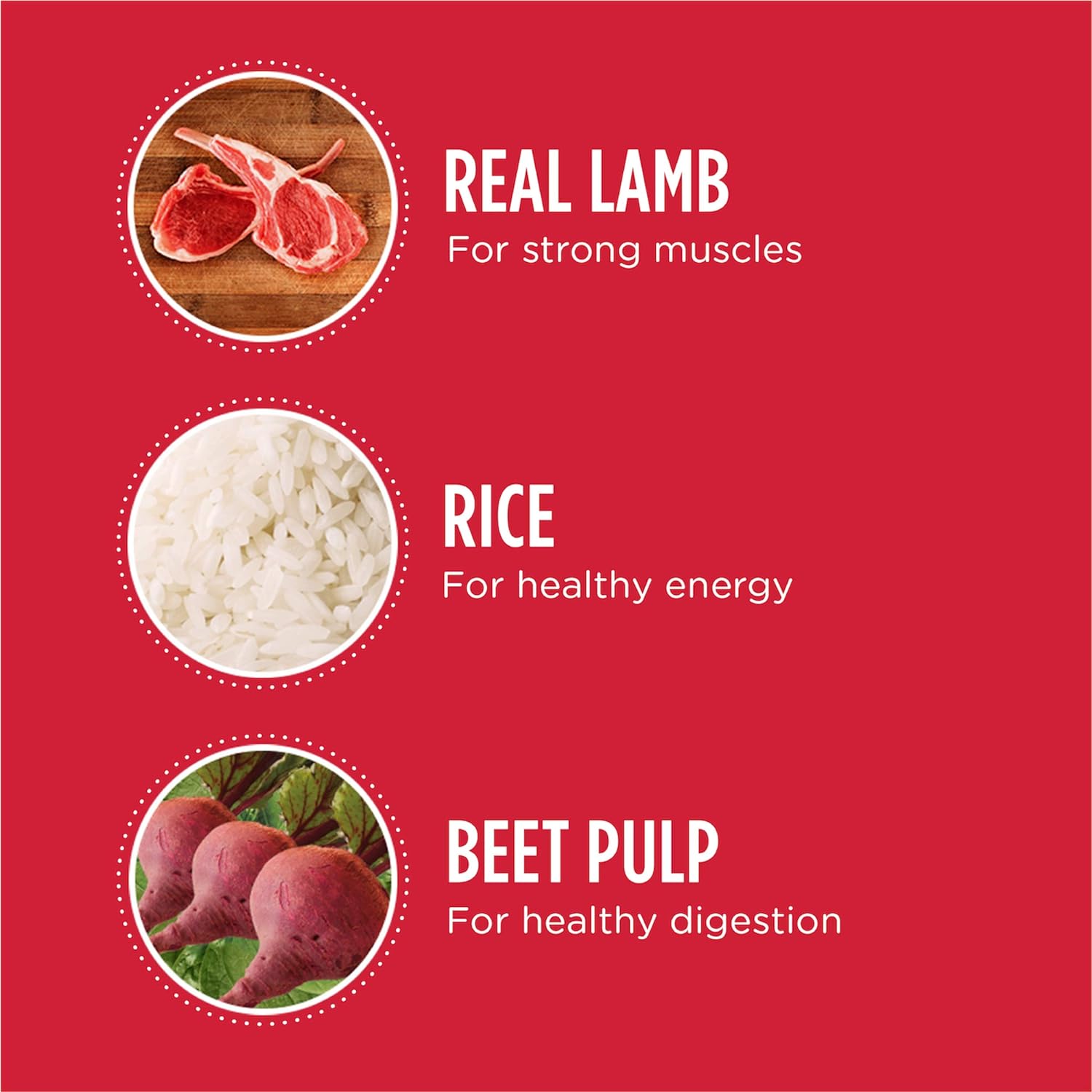 Iams Adult Minichunks with Lamb & Rice Dry Dog Food – Gallery Image 6