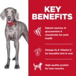 Hill’s Science Diet Adult Large Breed Chicken & Brown Rice Recipe No Corn, Wheat, Soy Dry Dog Food, photo 5
