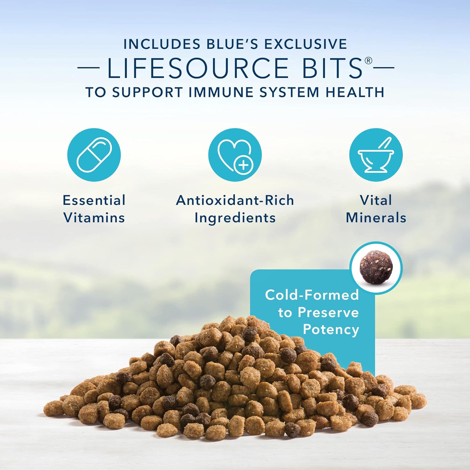 Blue Life Protection Formula Adult Small Bite Chicken and Brown Rice Dry Dog Food – Gallery Image 4