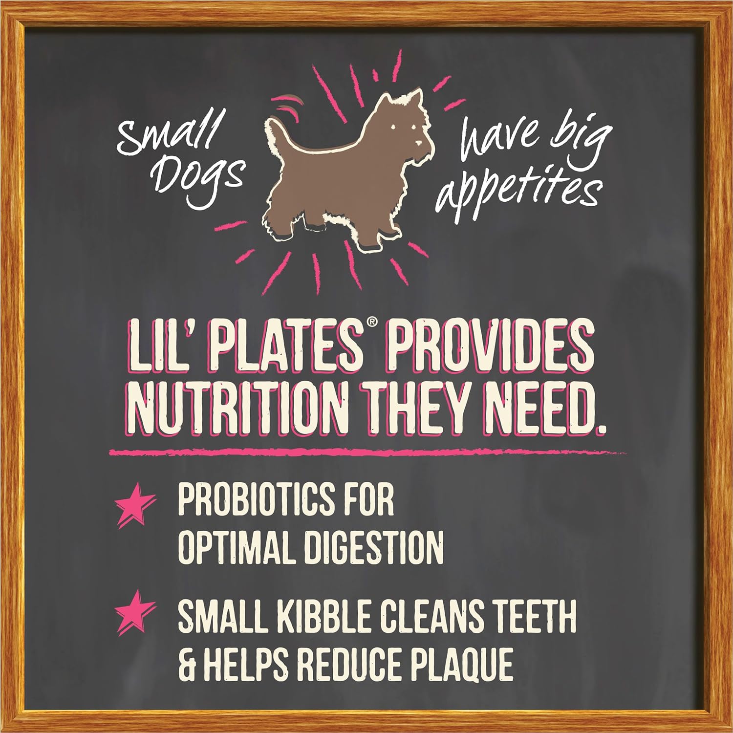 Merrick Lil’ Plates Grain-Free Real Salmon + Sweet Potatoes Recipe Dry Dog Food – Gallery Image 2