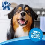 Kibbles n Bits Bacon & Steak Flavor Dry Dog Food, photo 7