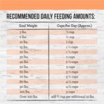 Merrick Backcountry Raw Infused Pacific Catch Recipe + Grains Dry Dog Food, photo 12