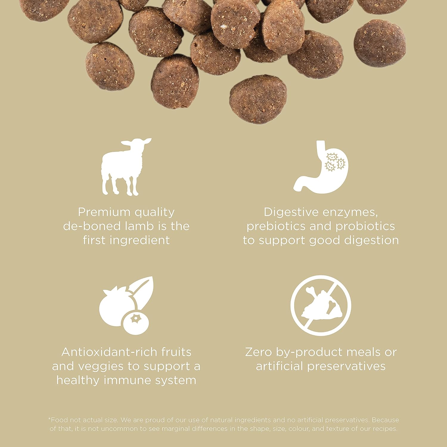 Go! Solutions Carnivore Grain-Free Lamb + Wild Boar Recipe Dry Dog Food – Gallery Image 3