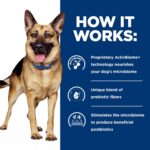 Hill’s Prescription Diet Gastrointestinal Biome Digestive/Fiber Care with Chicken Dry Dog Food, photo 6