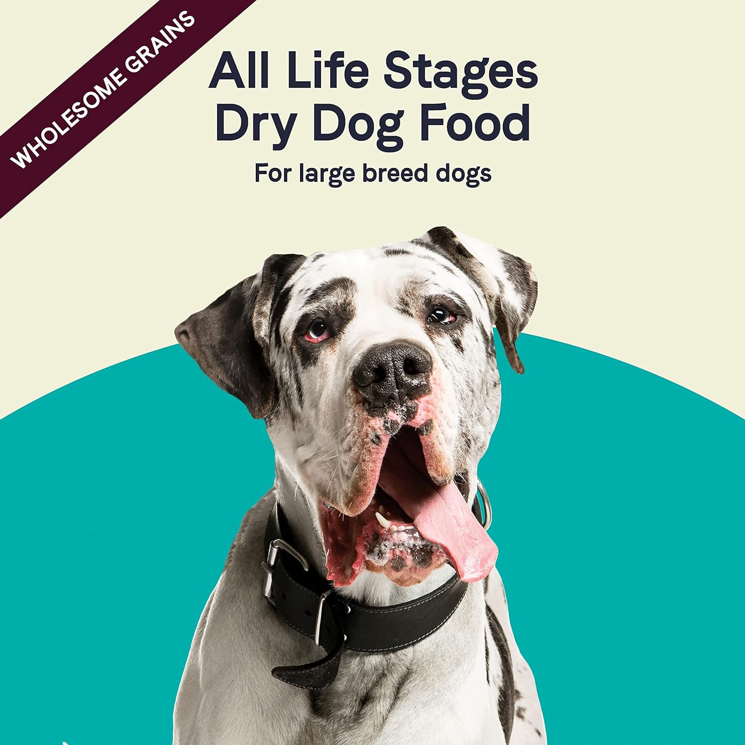 Canidae All Life Stages Large Breed Formula Turkey Meal & Brown Rice Dry Dog Food – Gallery Image 8