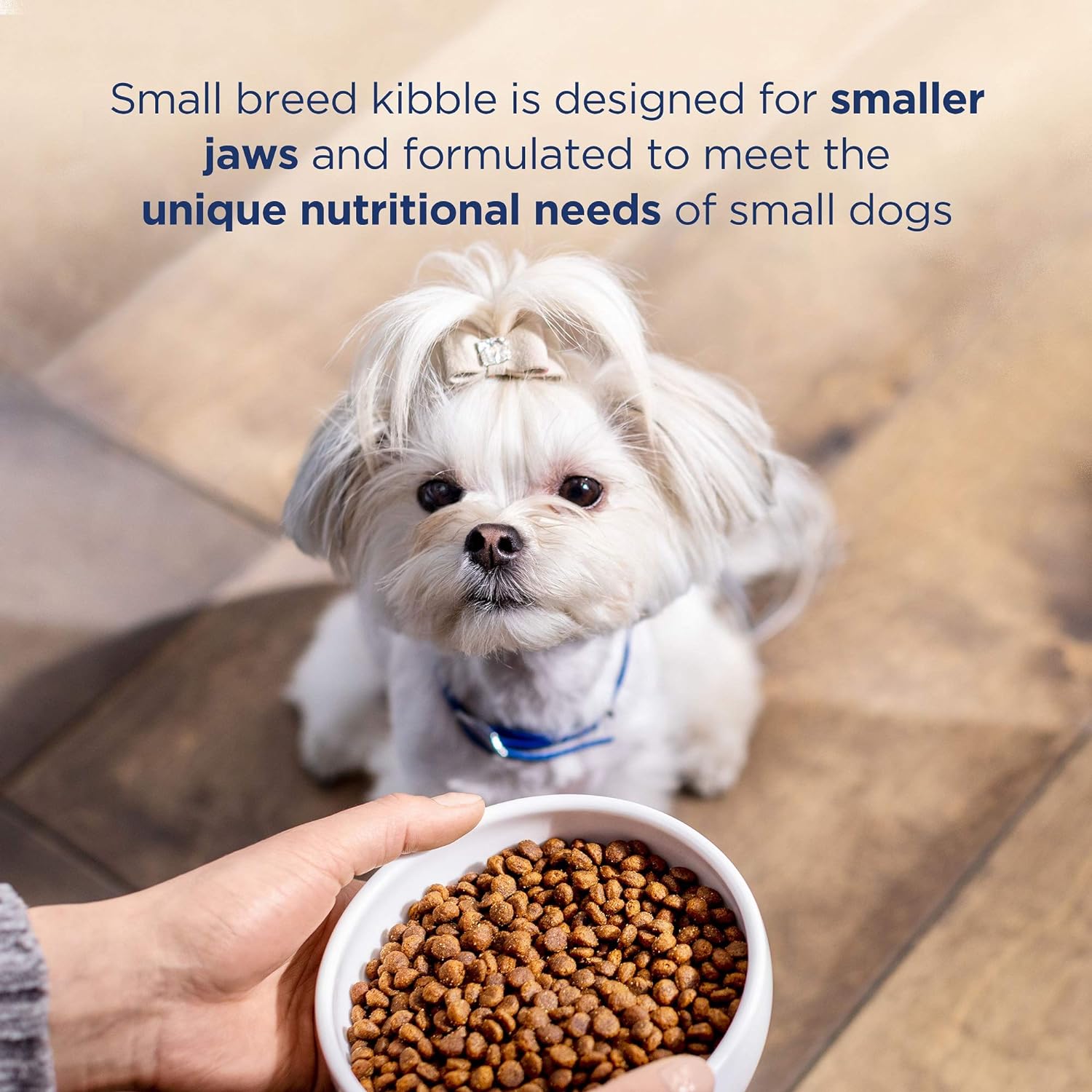 Natural Balance L.I.D. Limited Ingredient Diets Grain-Free Chicken & Sweet Potato Small Breed Bites Dry Dog Food – Gallery Image 8