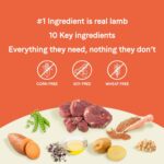 Canidae Pure Grain-Free Real Lamb & Pea Recipe Dry Dog Food, photo 6