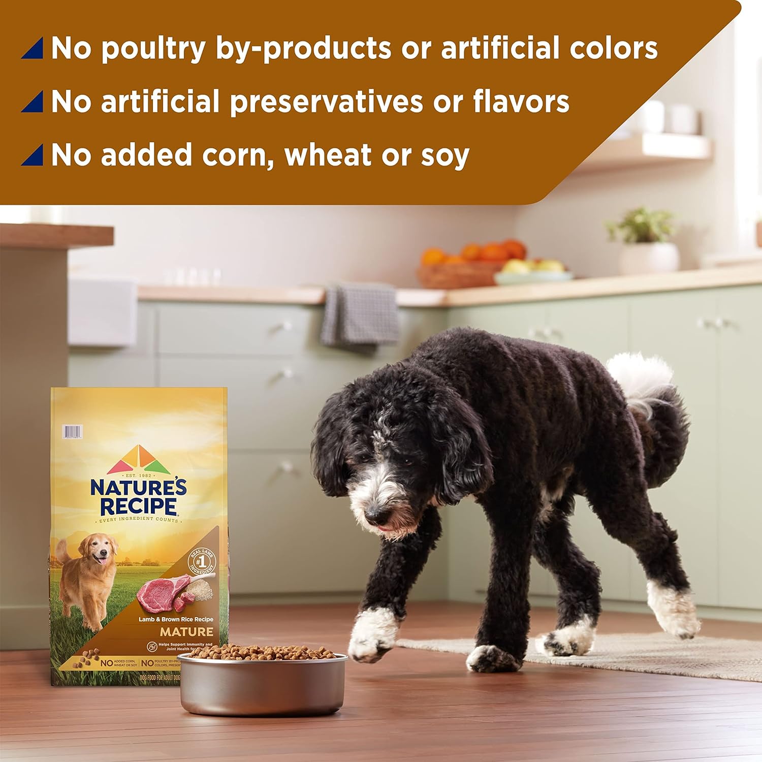 Nature’s Recipe Original Adult Lamb Meal & Rice Recipe Dry Dog Food – Gallery Image 7
