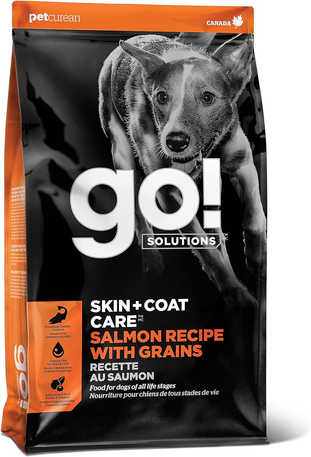 Go! Solutions Skin + Coat Care Salmon Recipe Dry Dog Food – Gallery Image 1