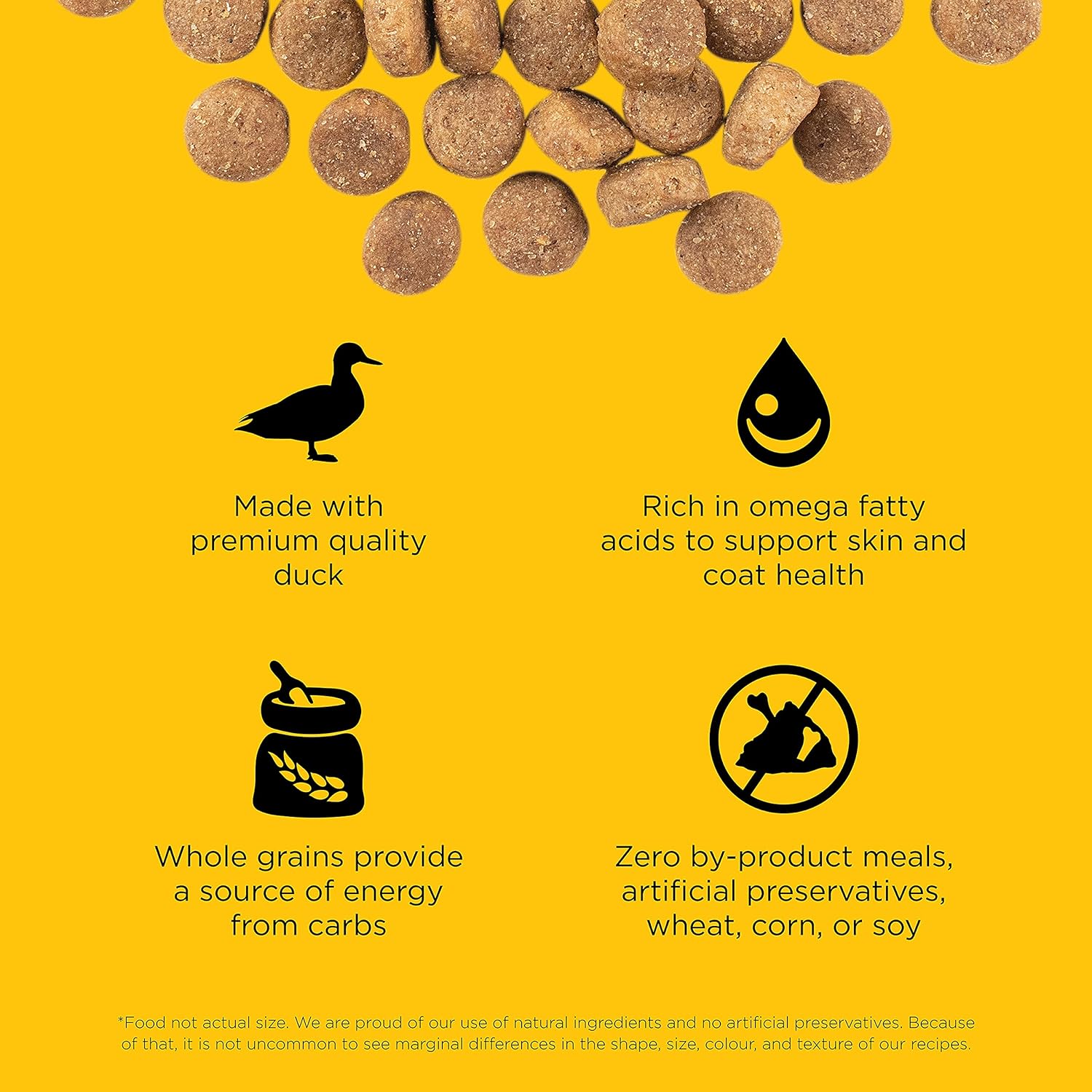 Go! Solutions Skin + Coat Care Duck Recipe with Grains Dry Dog Food – Gallery Image 3