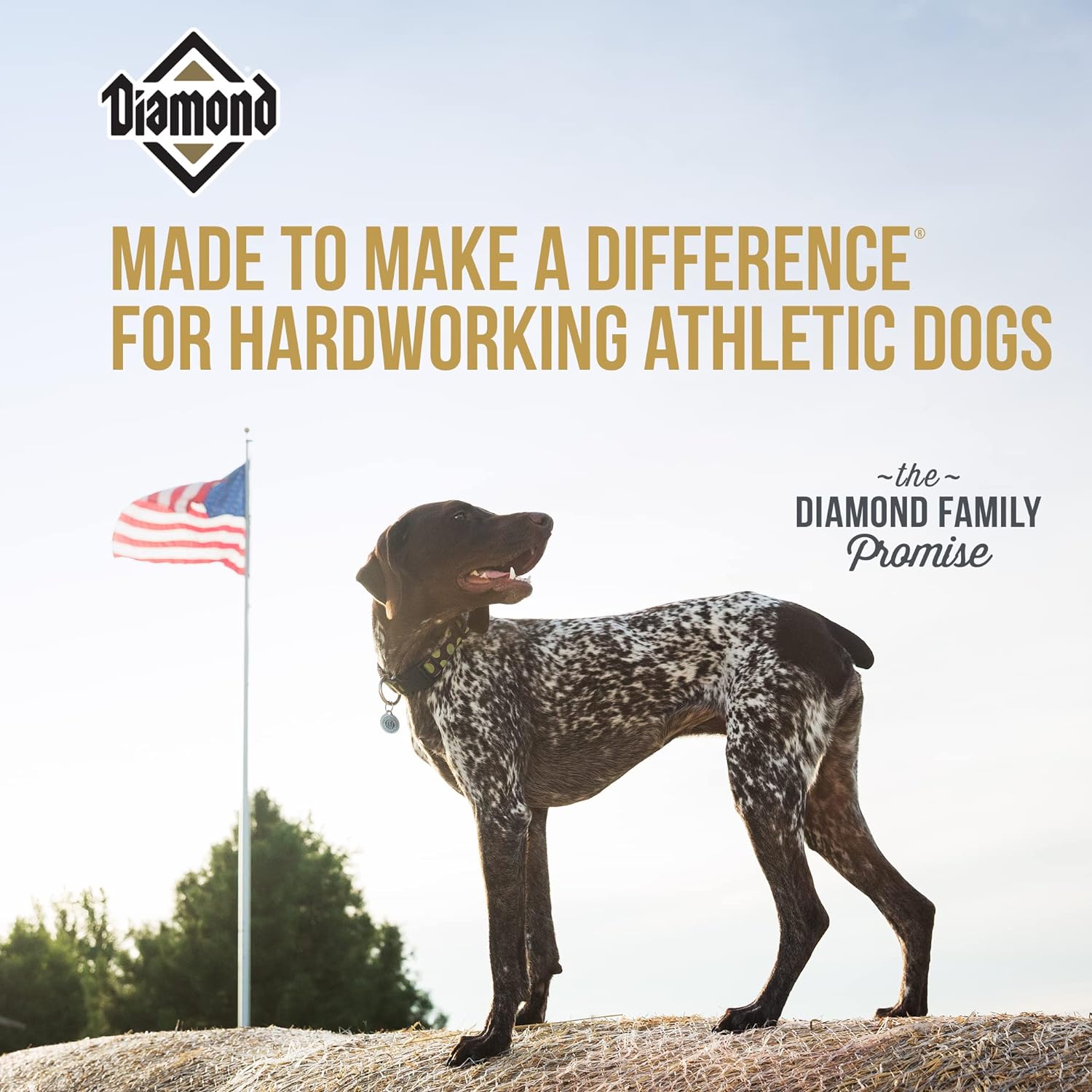 Diamond Performance Dry Dog Food – Gallery Image 5